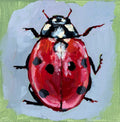 Lady bug print