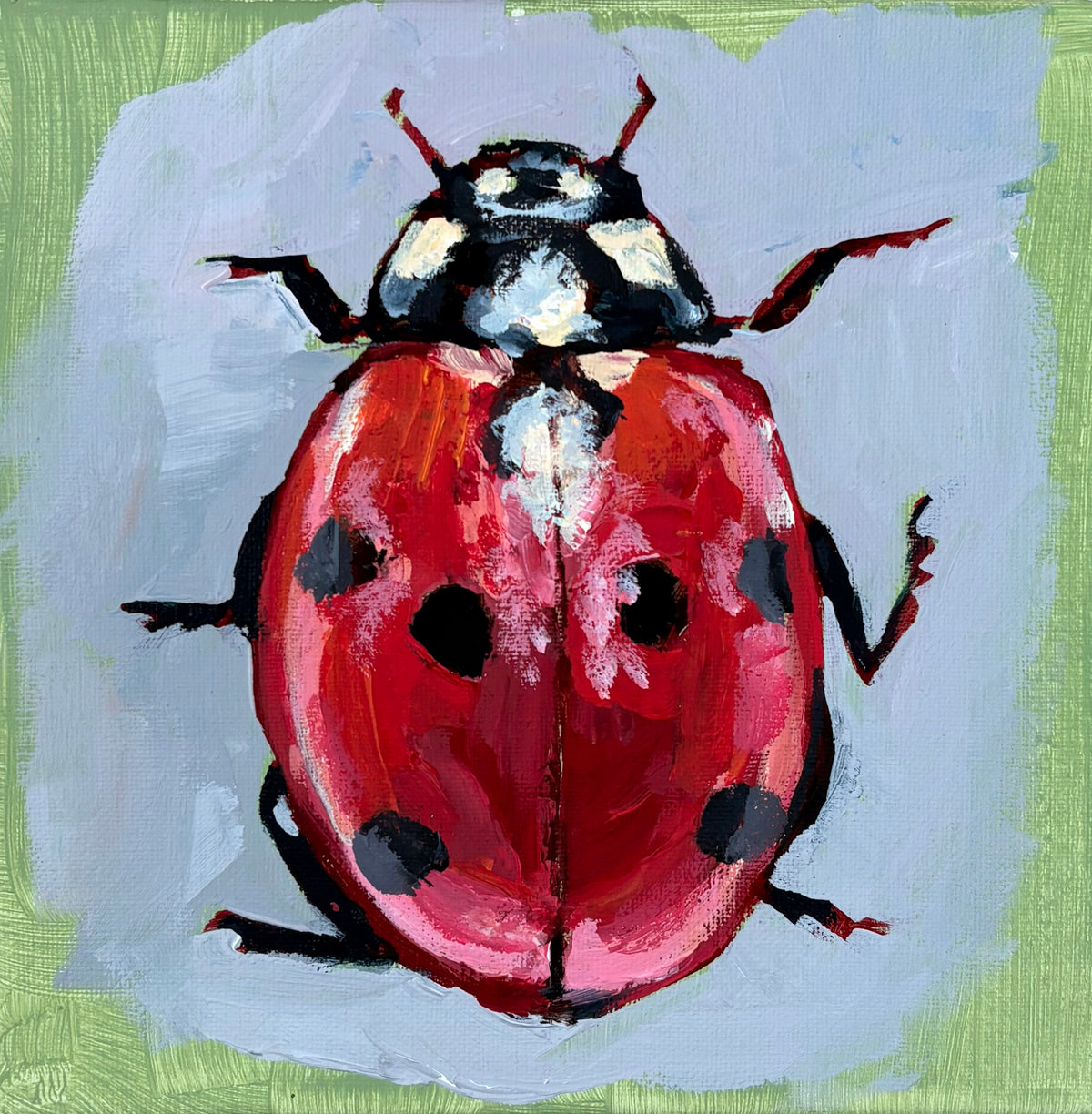 Lady bug print