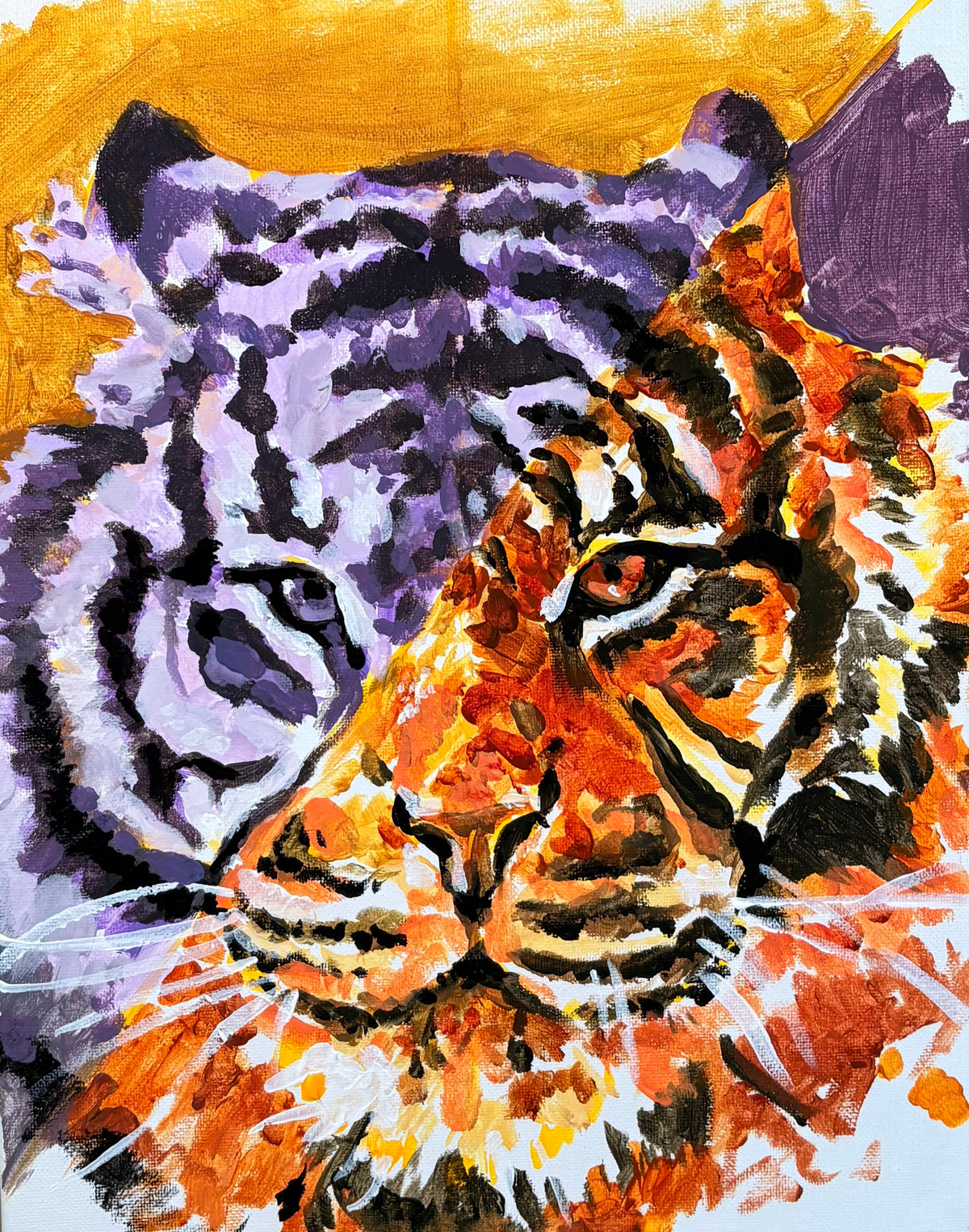 Purple and yellow tiger